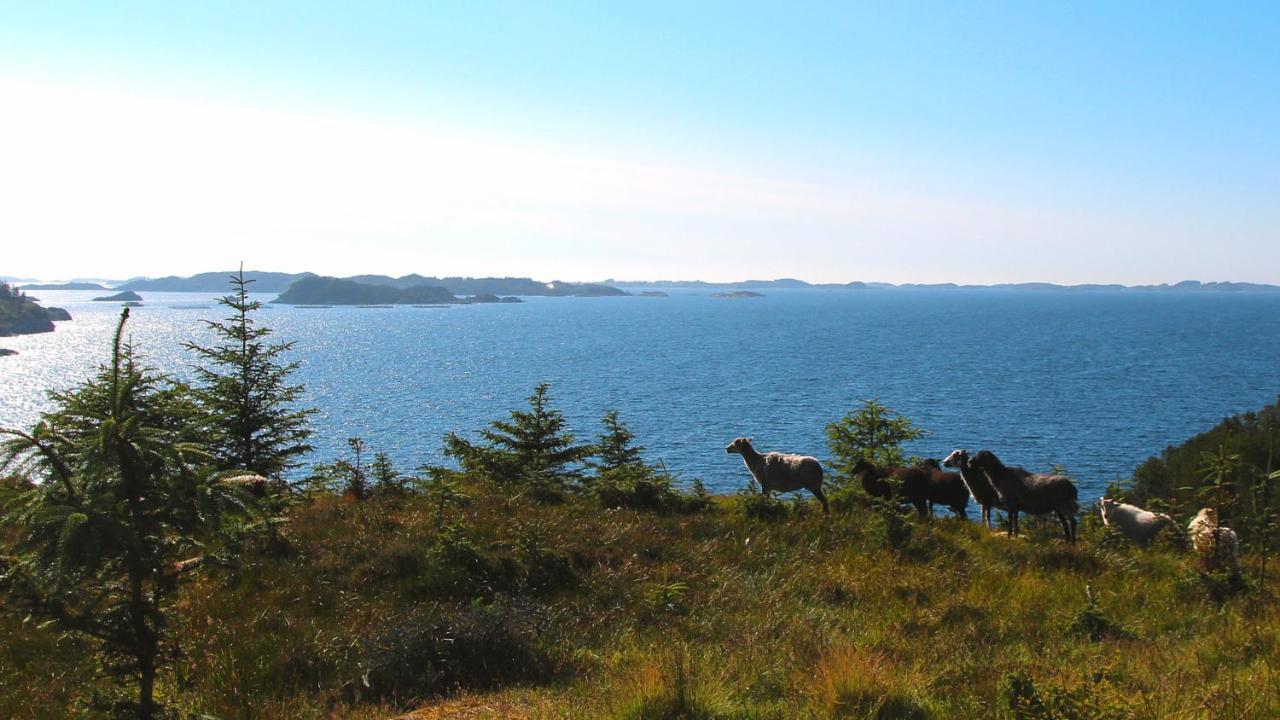 Appartamento Kobbaneset Hk - Tett Pa Havet - Bekkjarvik Esterno foto