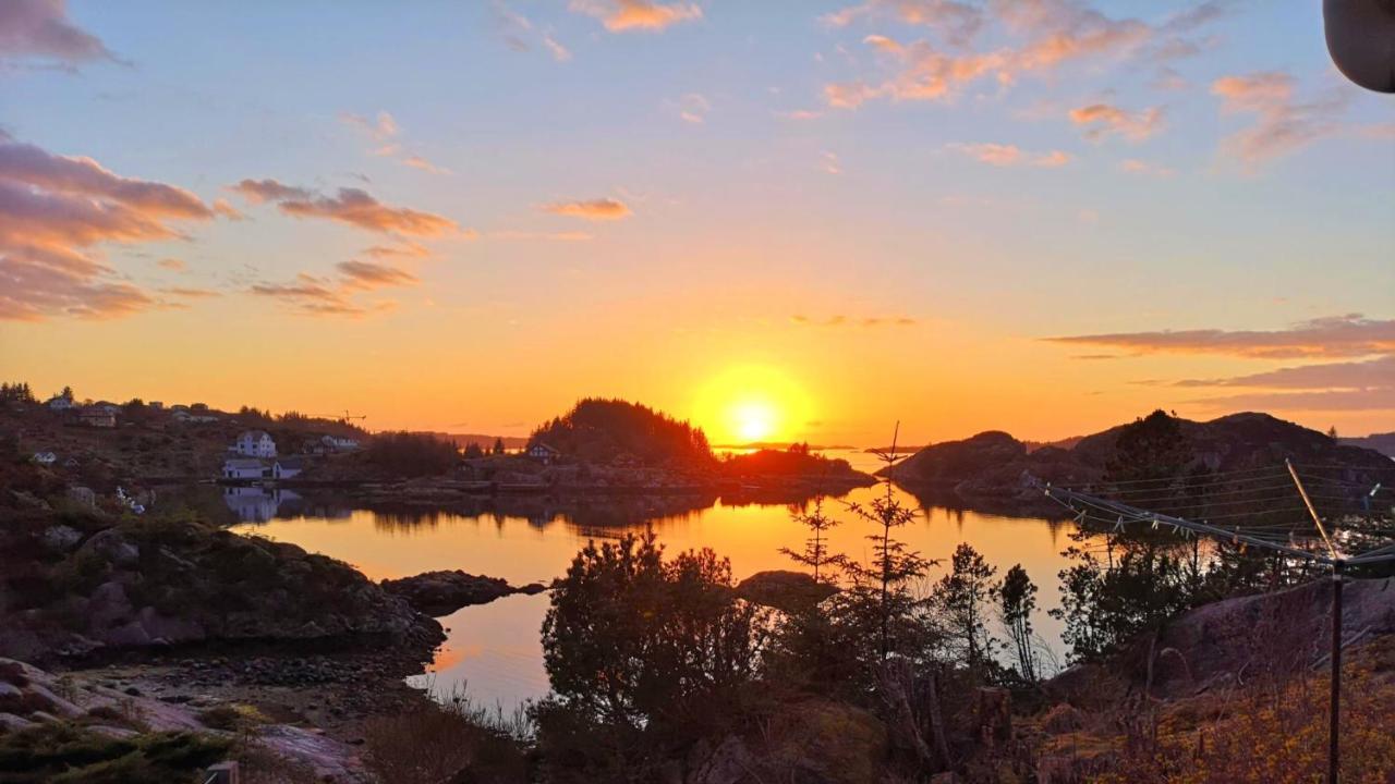 Appartamento Kobbaneset Hk - Tett Pa Havet - Bekkjarvik Esterno foto